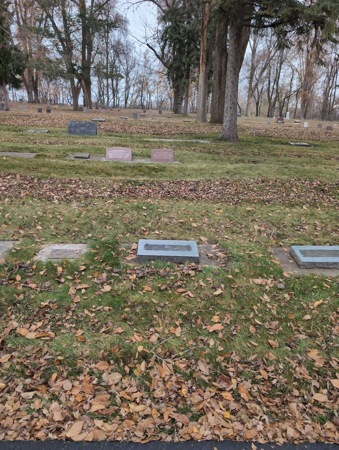 Eva E. Helmer's grave. Photo 2