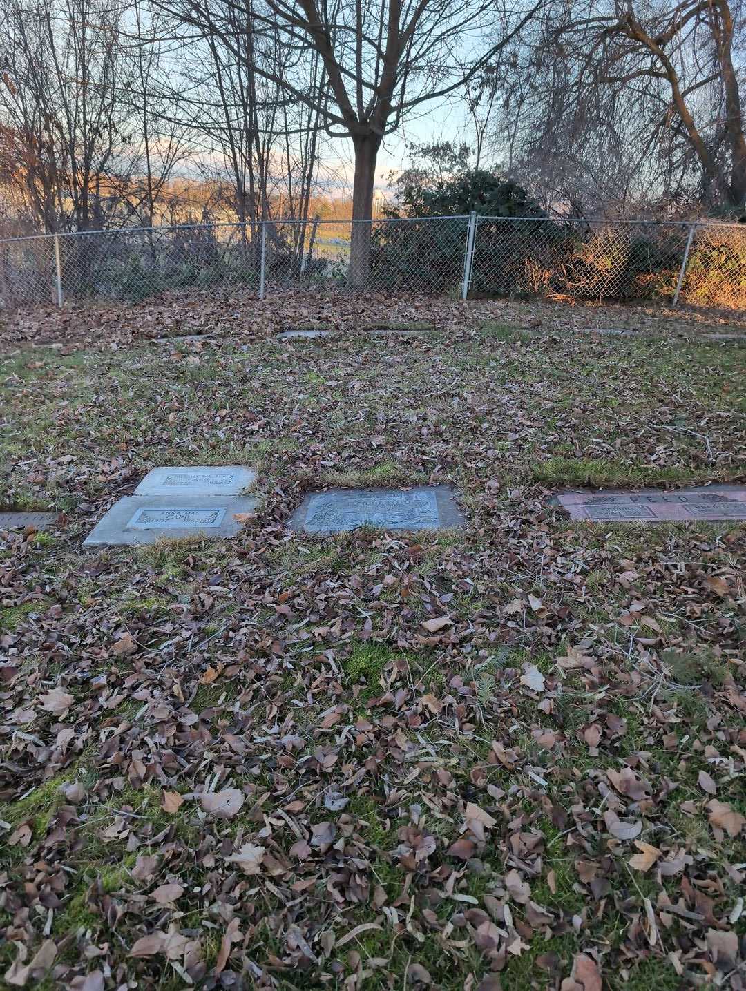 Baby Dina Sota's grave. Photo 2