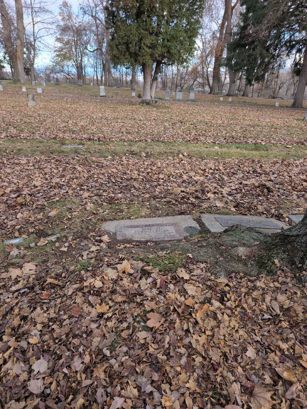 Mae O. Terwillegar's grave. Photo 2