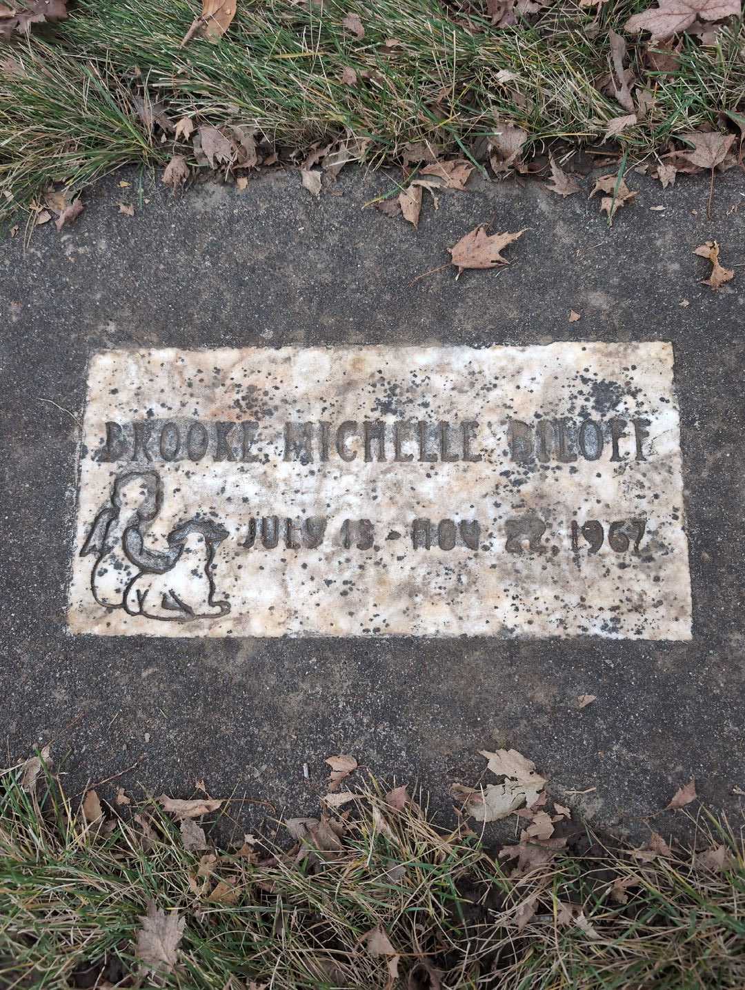 Brooke Michelle Biloff's grave. Photo 3