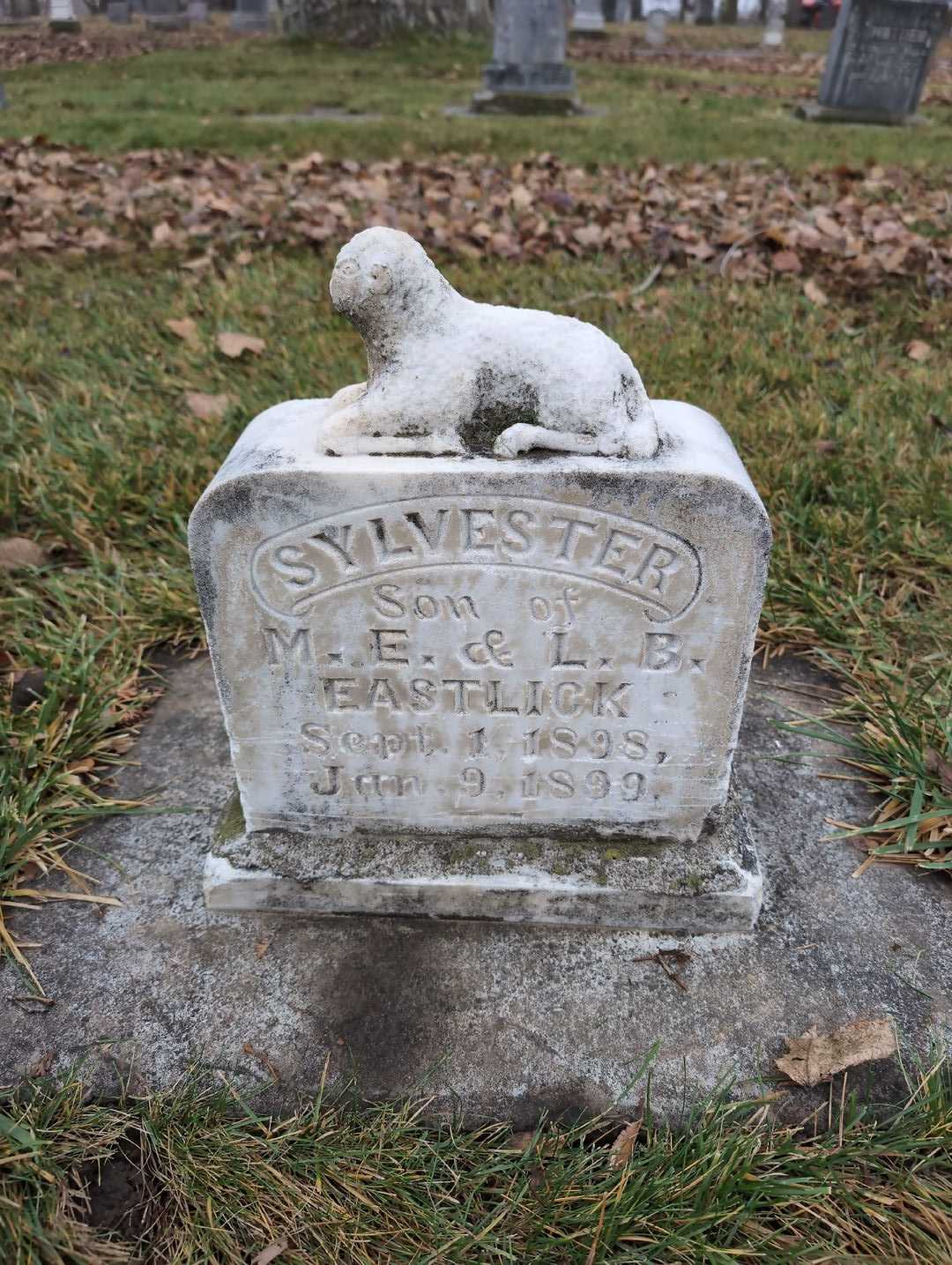 Sylvester Eastlick's grave. Photo 3