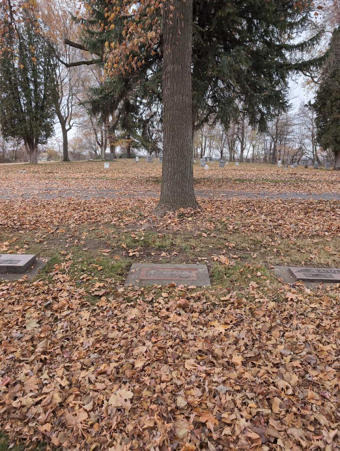Ruth F. Scott's grave. Photo 2