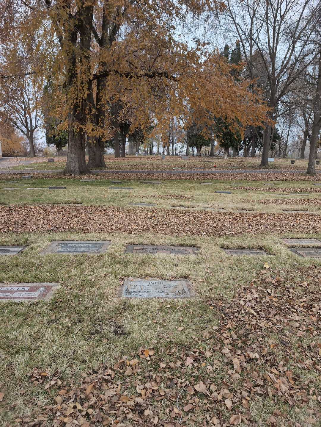 Edith D. Stratton's grave. Photo 2