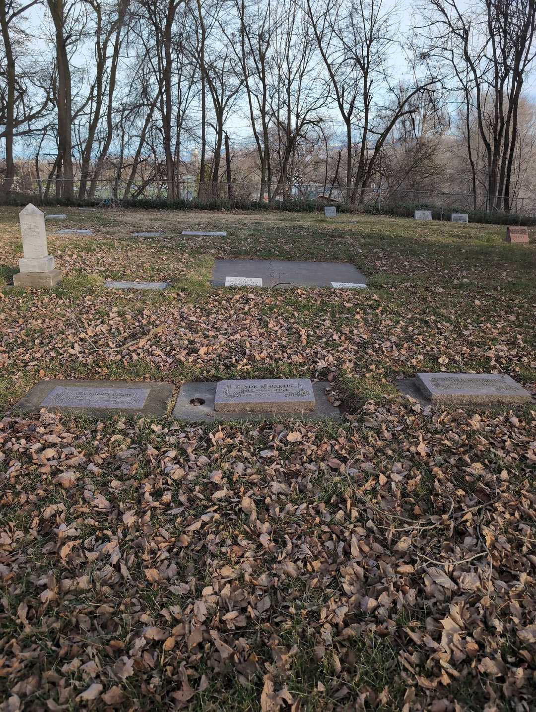 Clyde Marten Harris's grave. Photo 2