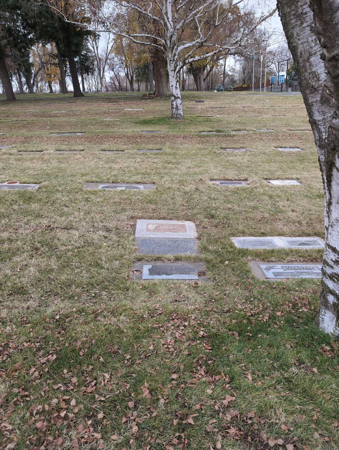 Marilyn Jean Farnsworth's grave. Photo 2