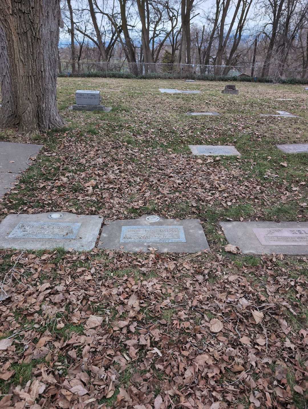 David Irving Kellogg's grave. Photo 2