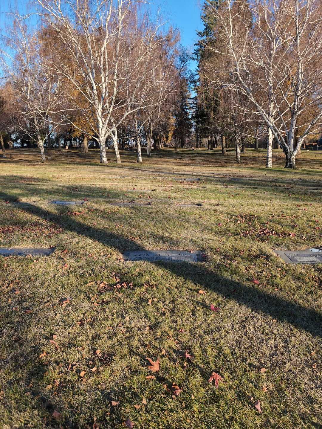William A. Tetz's grave. Photo 2