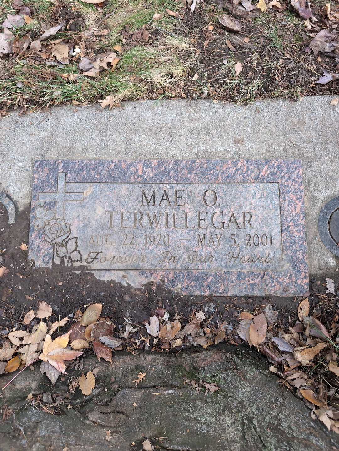 Mae O. Terwillegar's grave. Photo 3