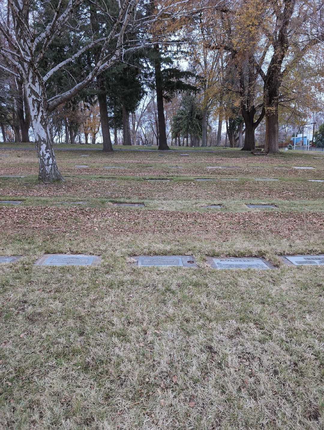 Caroline Rainwater's grave. Photo 2