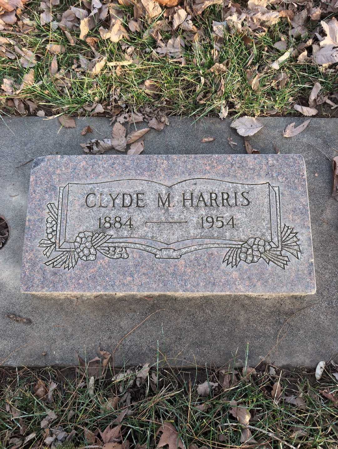 Linnie M. Babcock's grave. Photo 1