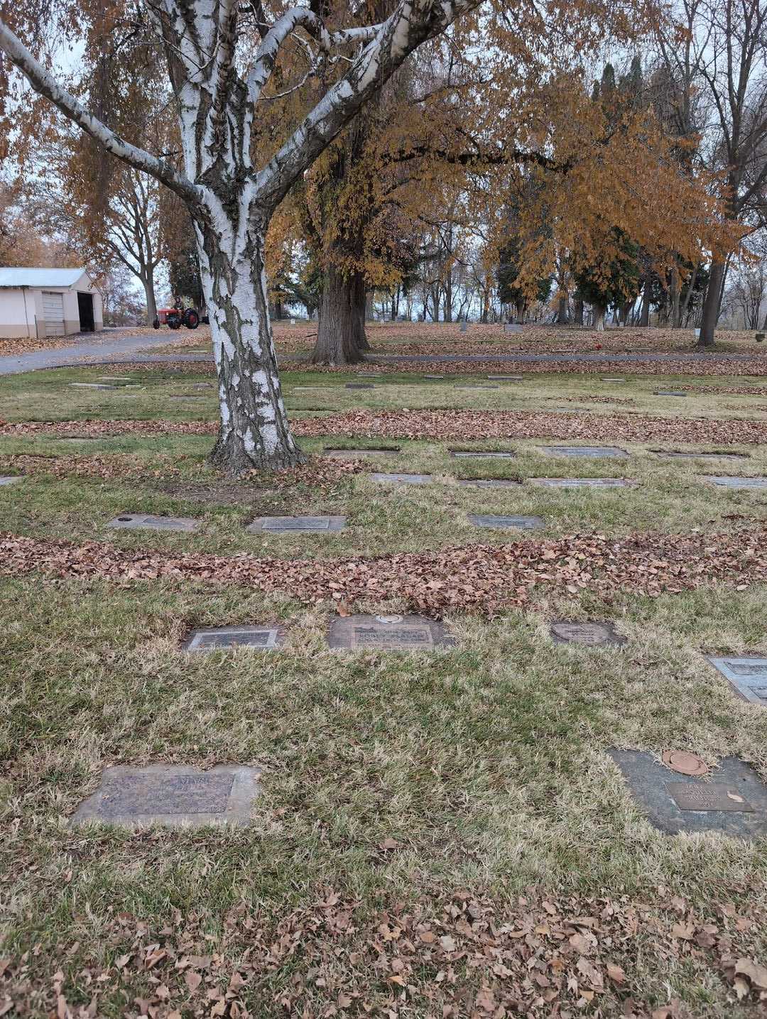 Robby Berdan's grave. Photo 2