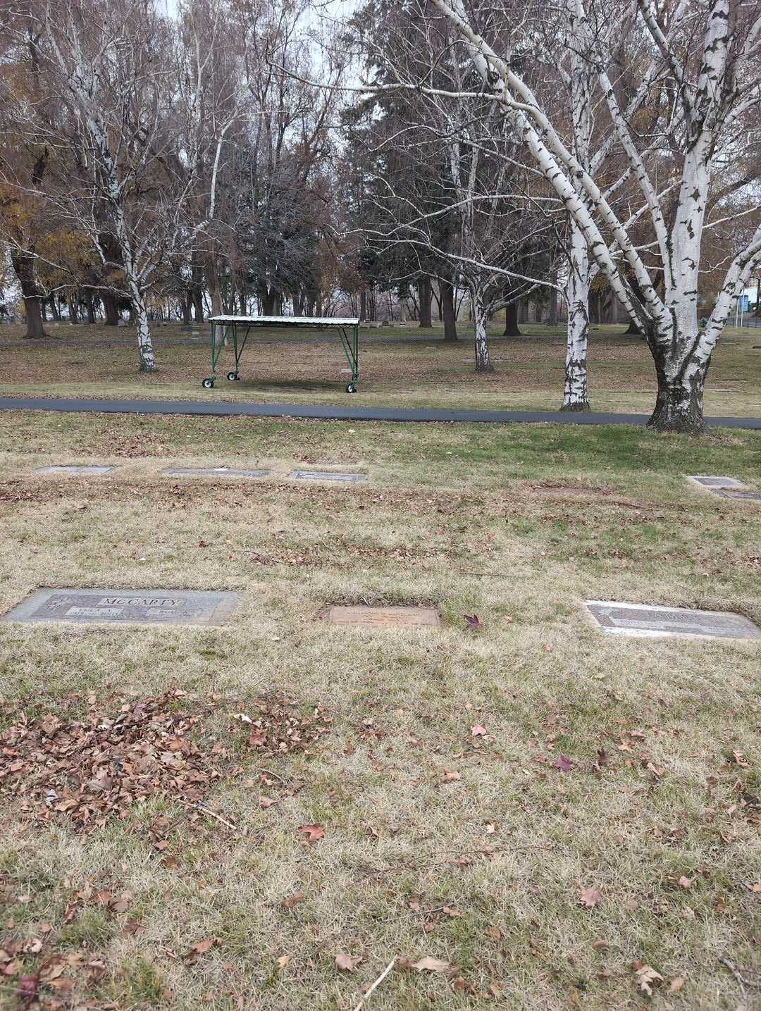 Vernon T. McCarty's grave. Photo 4