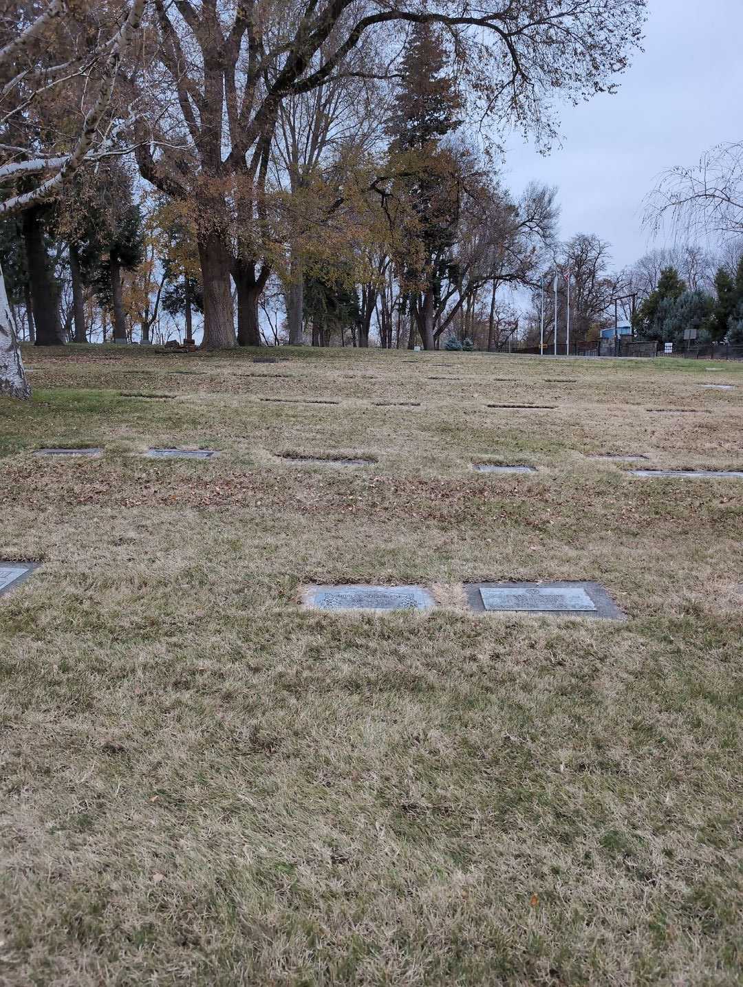 Shirley Alice Holbrook Rouse's grave. Photo 2