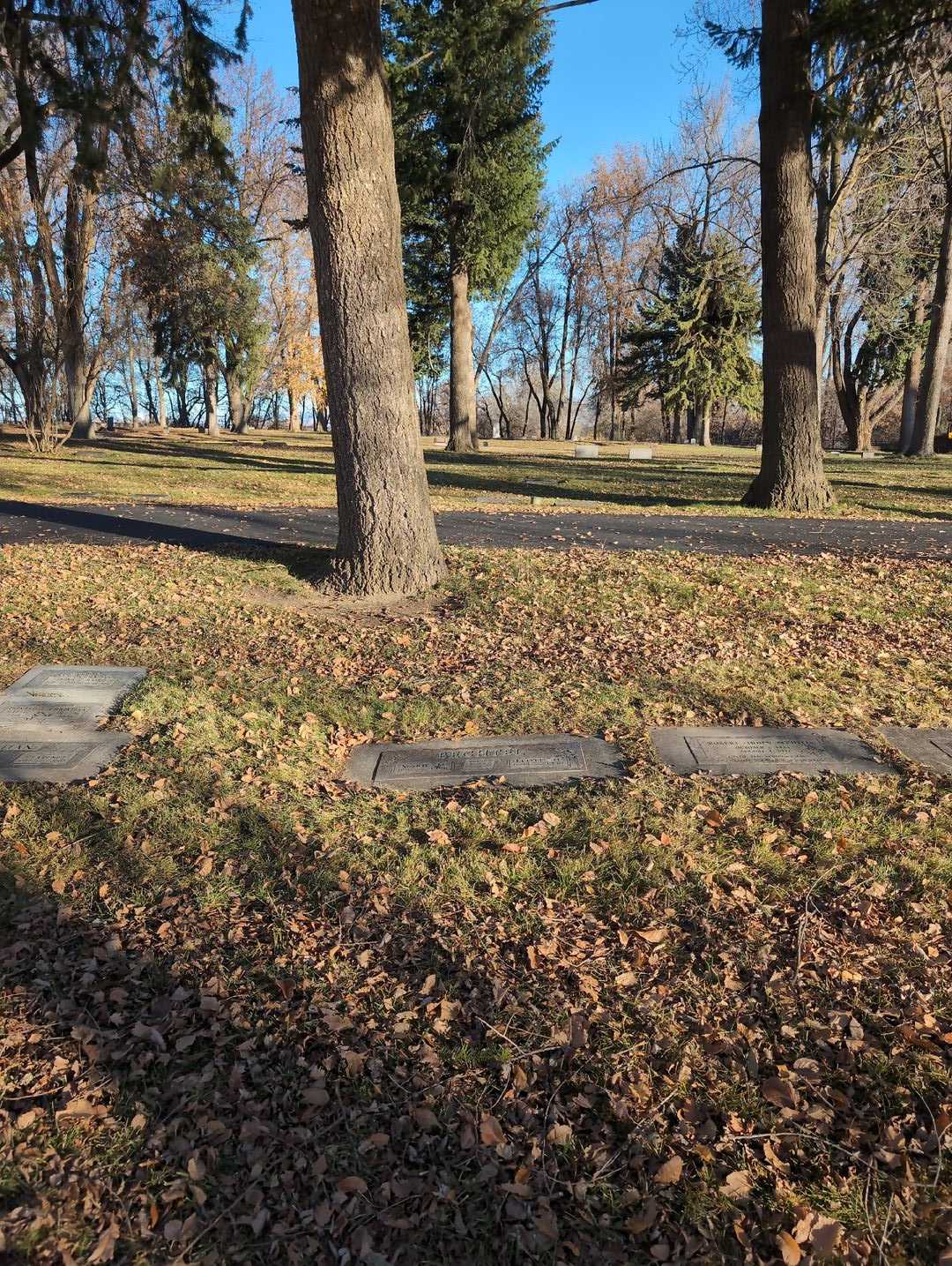 Floyd H. Bechtel's grave. Photo 2