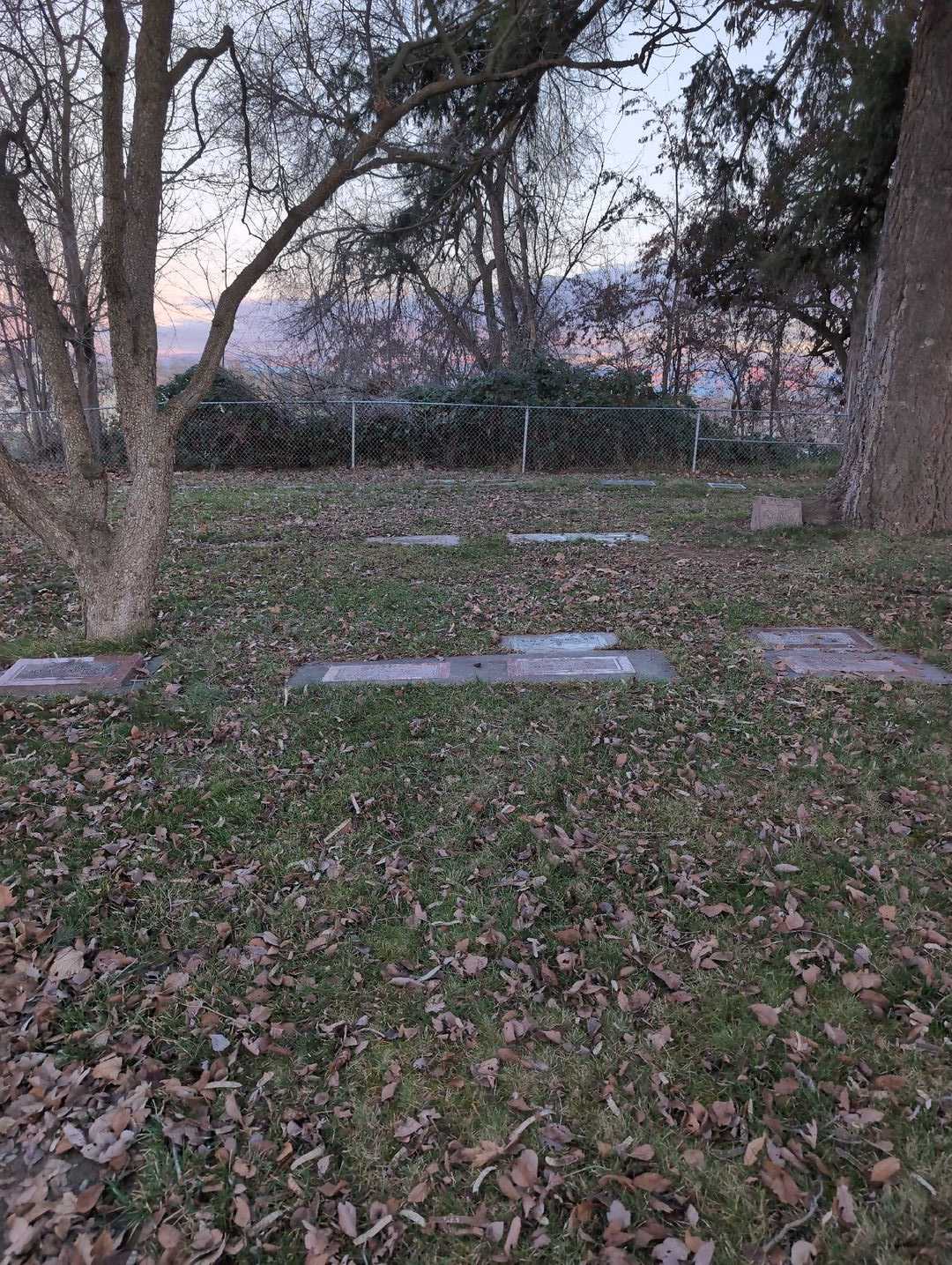 Gary R. Bohlman M. D.'s grave. Photo 2