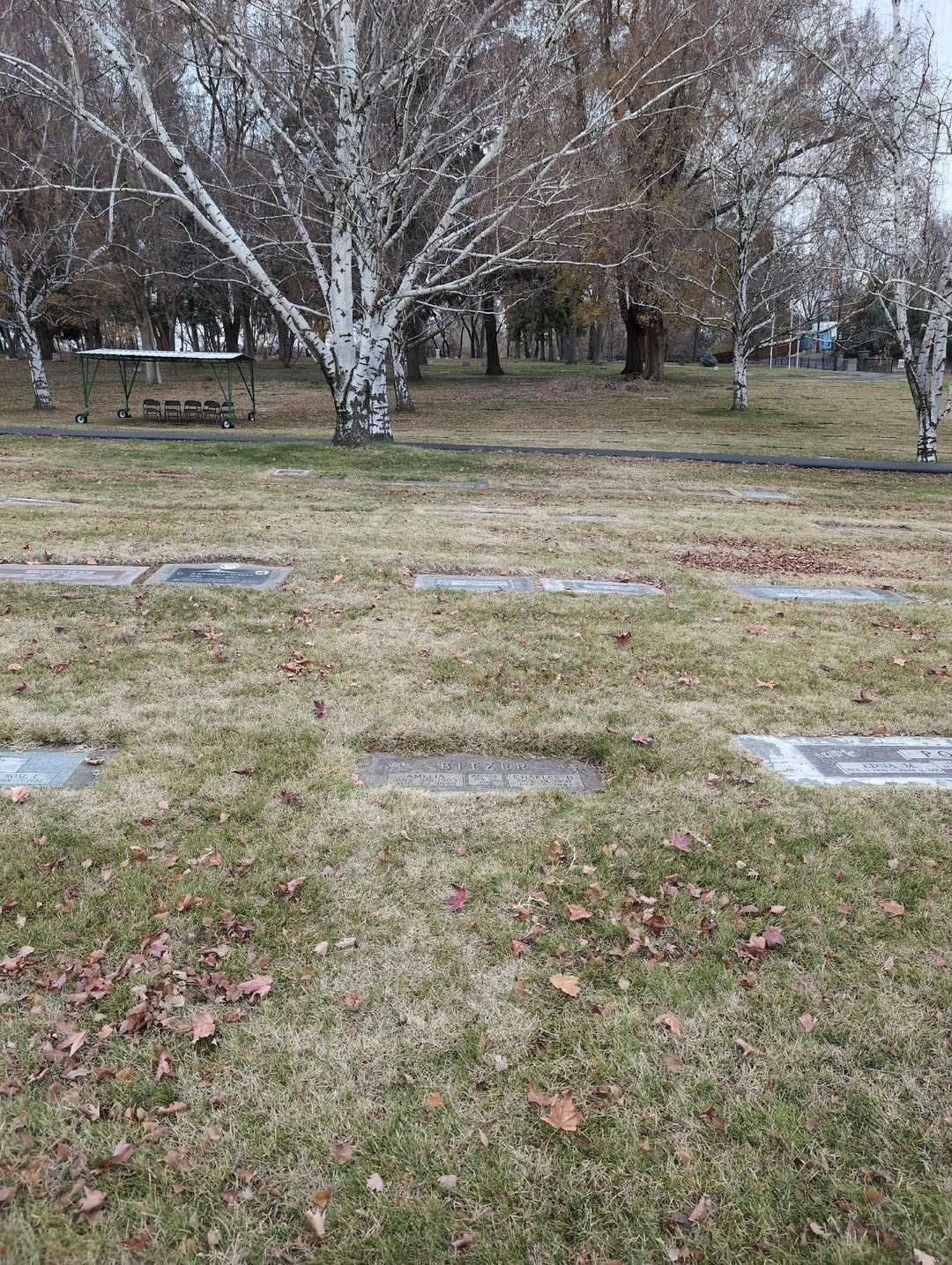 Amelia Bitzer's grave. Photo 2