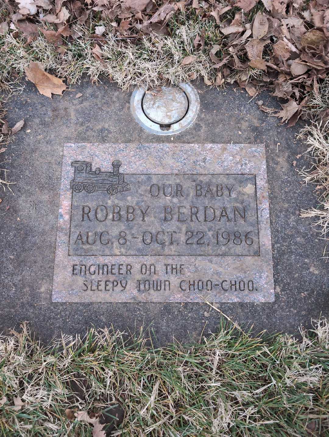 Robby Berdan's grave. Photo 3