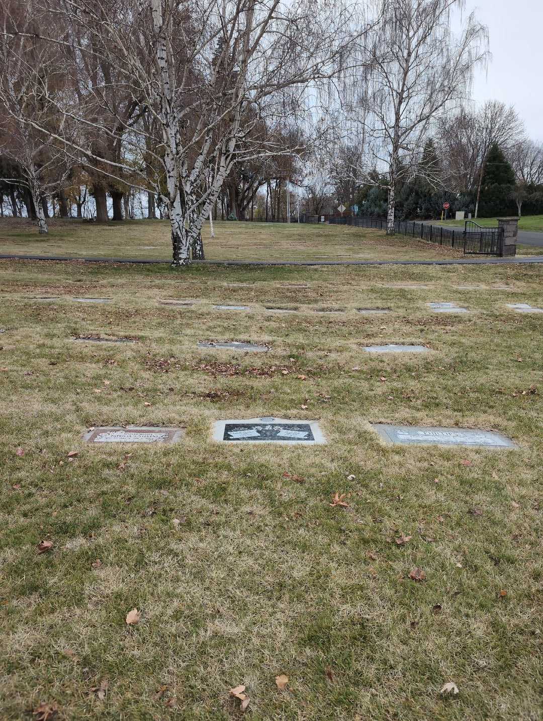 Nancy LaVerne Layer's grave. Photo 2