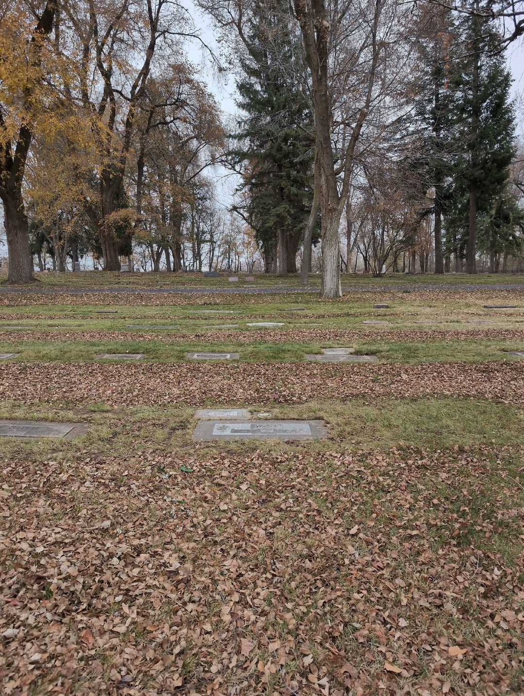 Darlene E. Macauley's grave. Photo 2