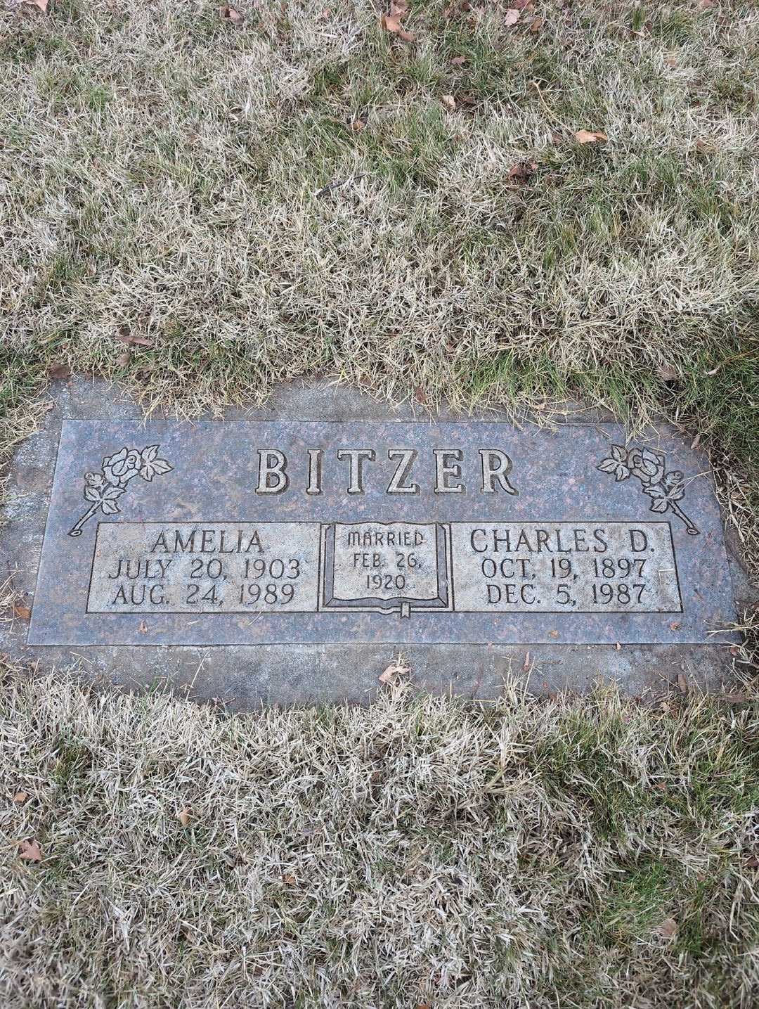 Etta O. Mac Dougall's grave. Photo 1