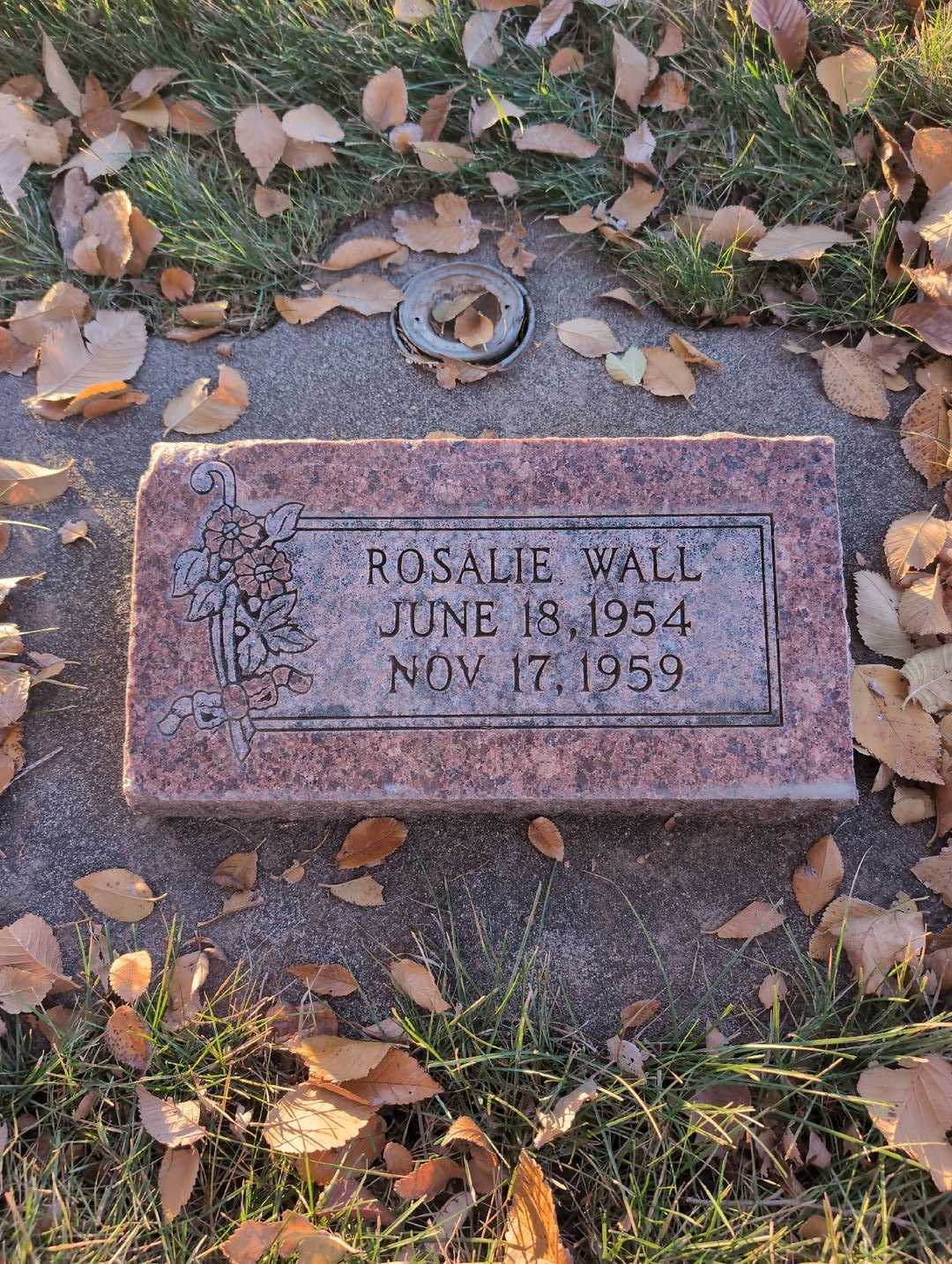 Rosalie Rae Wall's grave. Photo 3
