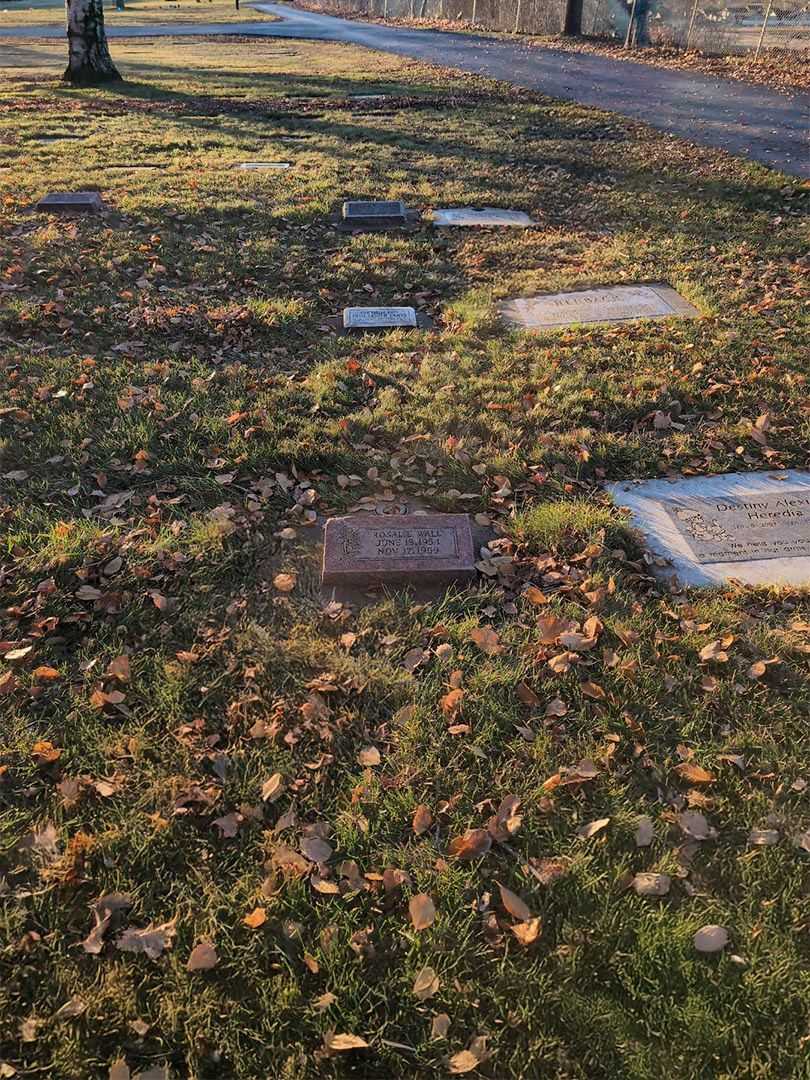 Rosalie Rae Wall's grave. Photo 2